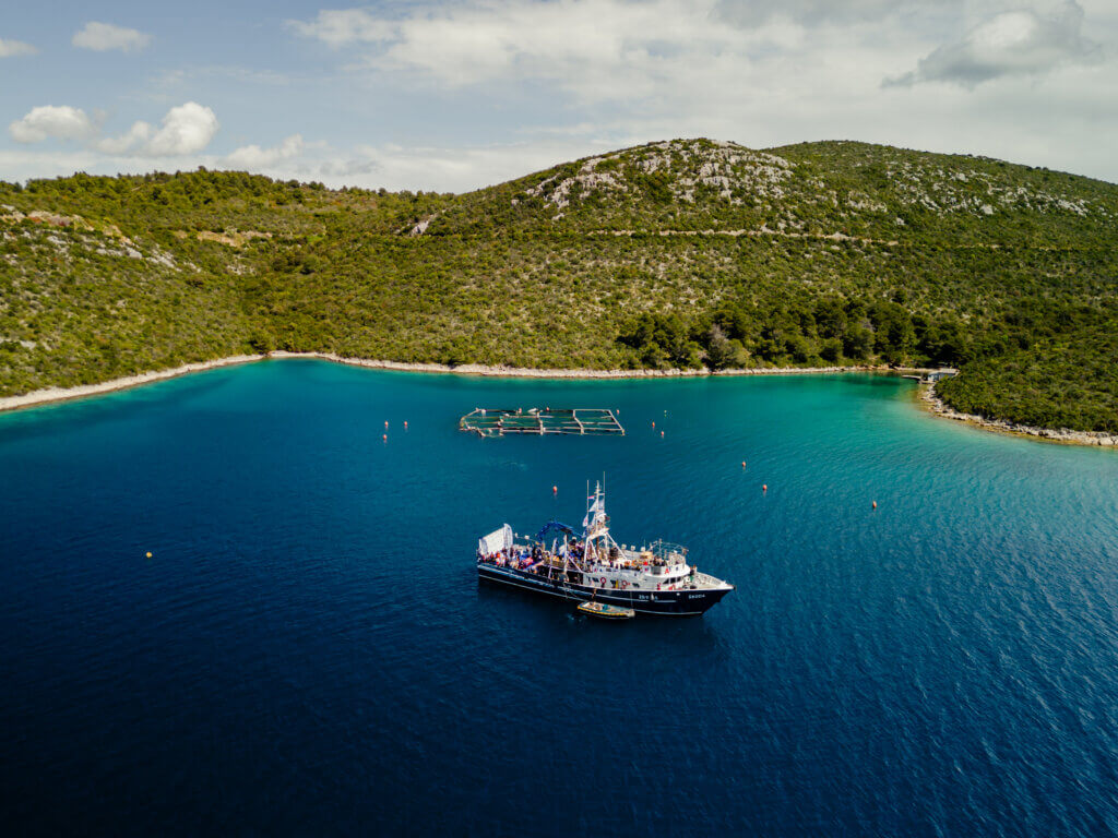 Krie x Provir boat trip